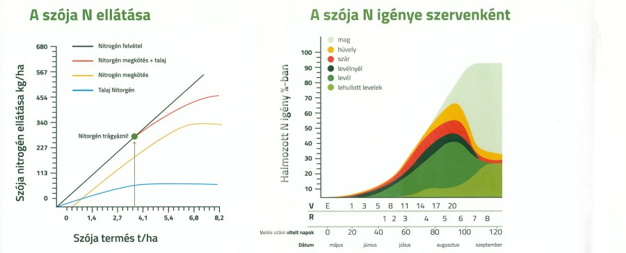 a_szoja_N_ellatasa