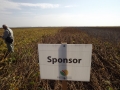 Sponsor