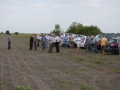 ujmohacs_szojabemutato_2015_02_1000x750