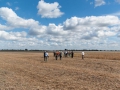 Fajtabemutatók – 2013. szeptember 13. – Bátya