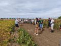 MVIMG_20260902_114341_1500x1125
